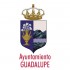 Ayuntamiento de Guadalupe